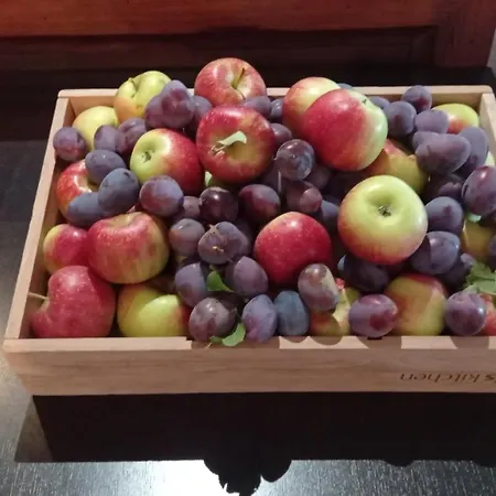 Ibis Strasbourg Sud La Vigie 3* أوستوالد