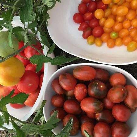 Ibis Strasbourg Sud La Vigie 3*