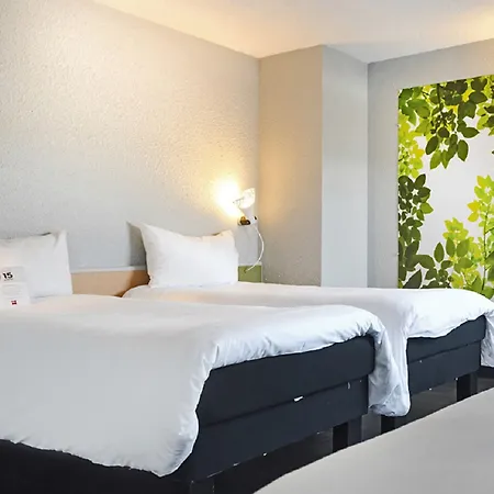 Ibis Strasbourg Sud La Vigie 호텔