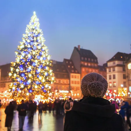 Ibis Strasbourg Sud La Vigie 3* オストヴァルト