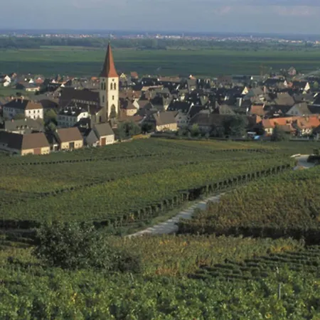 Ibis Strasbourg Sud La Vigie ホテル 3*