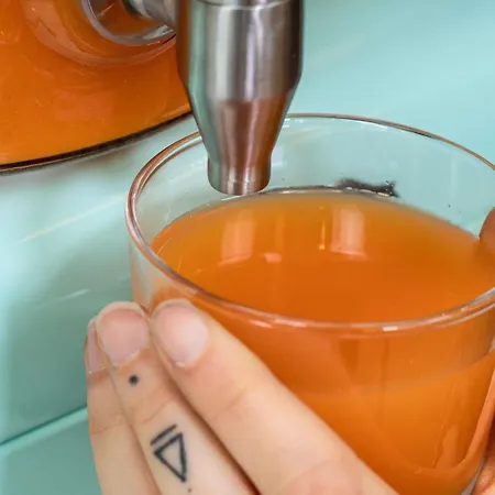 Ibis Strasbourg Sud La Vigie 3* Ostwald