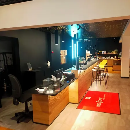Ibis Strasbourg Sud La Vigie Hotel 3*
