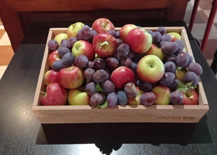 Ibis Strasbourg Sud La Vigie 3* Ostwald