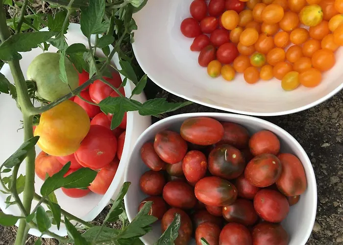 Ibis Strasbourg Sud La Vigie 3*