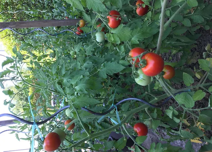 Ibis Strasbourg Sud La Vigie Hotel Ostwald