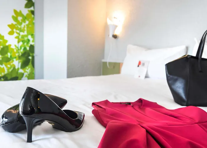 Hotel Ibis Strasbourg Sud La Vigie Ostwald