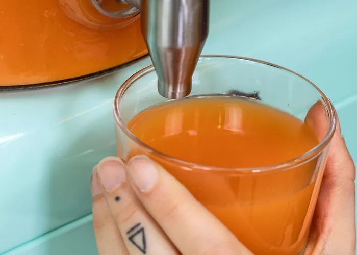 Hotel Ibis Strasbourg Sud La Vigie 3*