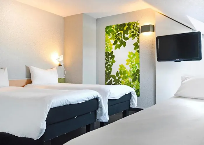 Ibis Strasbourg Sud La Vigie 3*